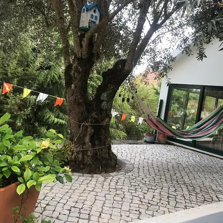 Casa Do Arco Casa vacanze Abiul